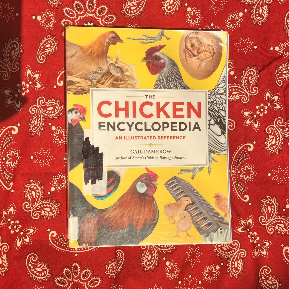 GOT CHICKENS? WANT CHICKENS? The Chicken Encyclopedia! Informative & illustrated